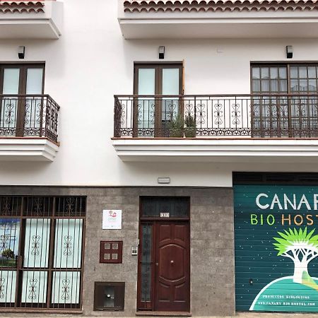 Canary Bio Hostel Tenerife 洛斯雷尔雷赫斯 外观 照片